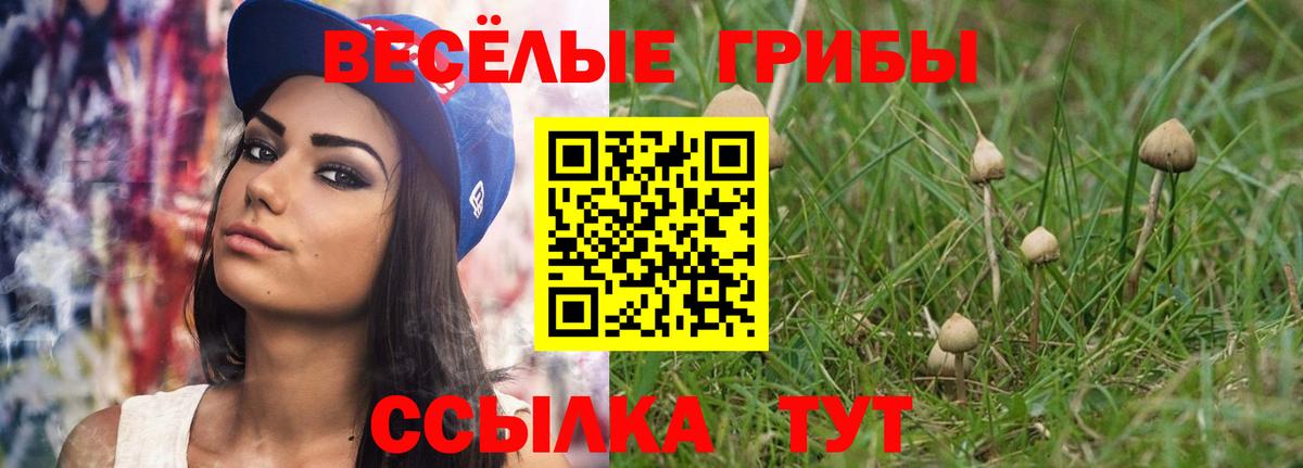 Галлюциногенные грибы Cubensis Сафоново